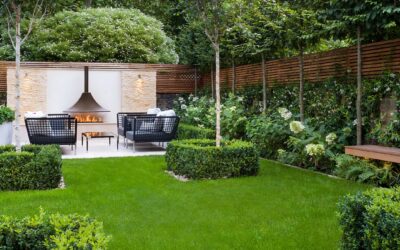 Zelf uittekenen van planten met professionele begeleiding bij Profigreen