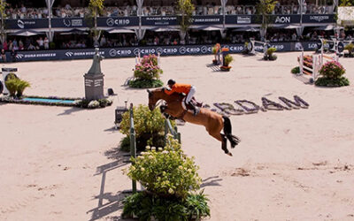 Bomen huren voor evenementen met groene impact