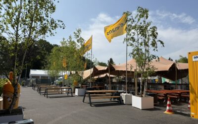 Bomen verhuur als slimme oplossing voor tijdelijke vergroening